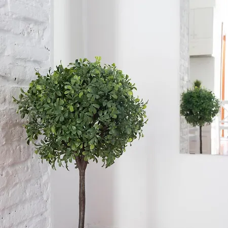 Cozy & Happy Flat In Downtown Apartment